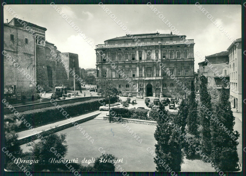 Perugia Città Università FG Foto cartolina KB4608 – fronte