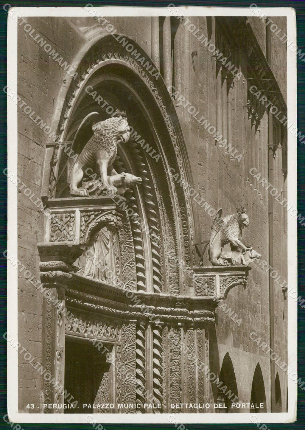 Perugia Città Municipio FG Foto cartolina KB4610 – fronte