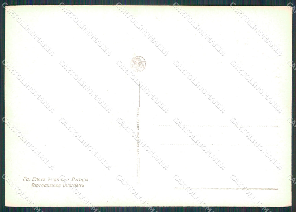 Perugia Città Palazzo Capitano del Popolo FG Foto cartolina KB4648 – retro