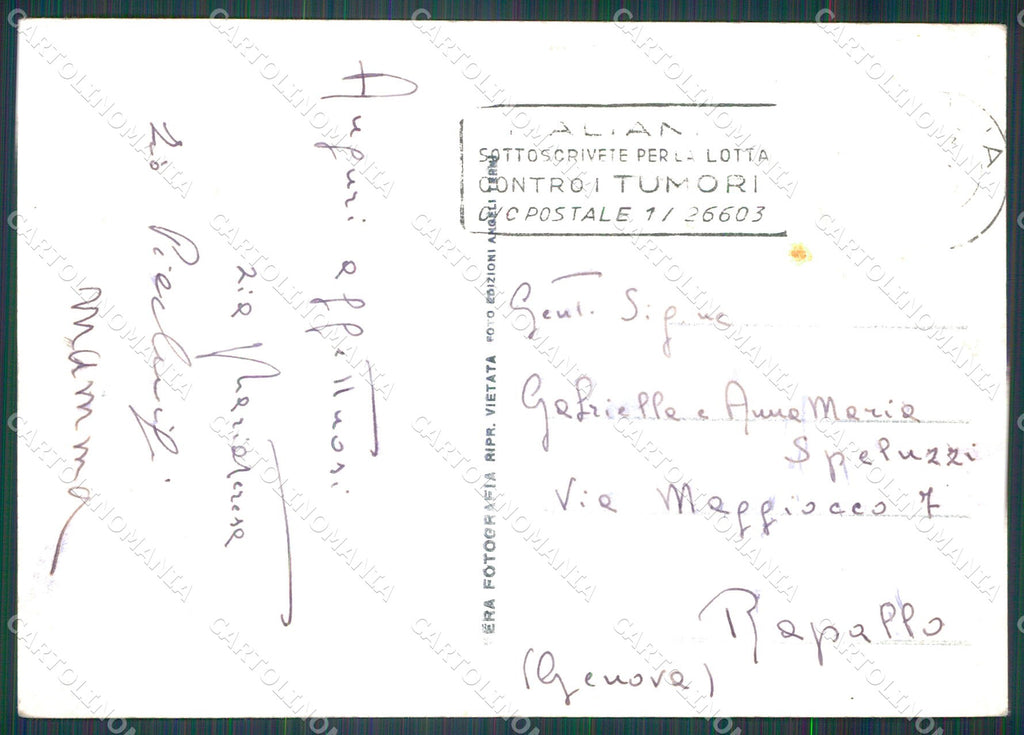 Perugia Città Comune FG Foto cartolina KB4685 – retro