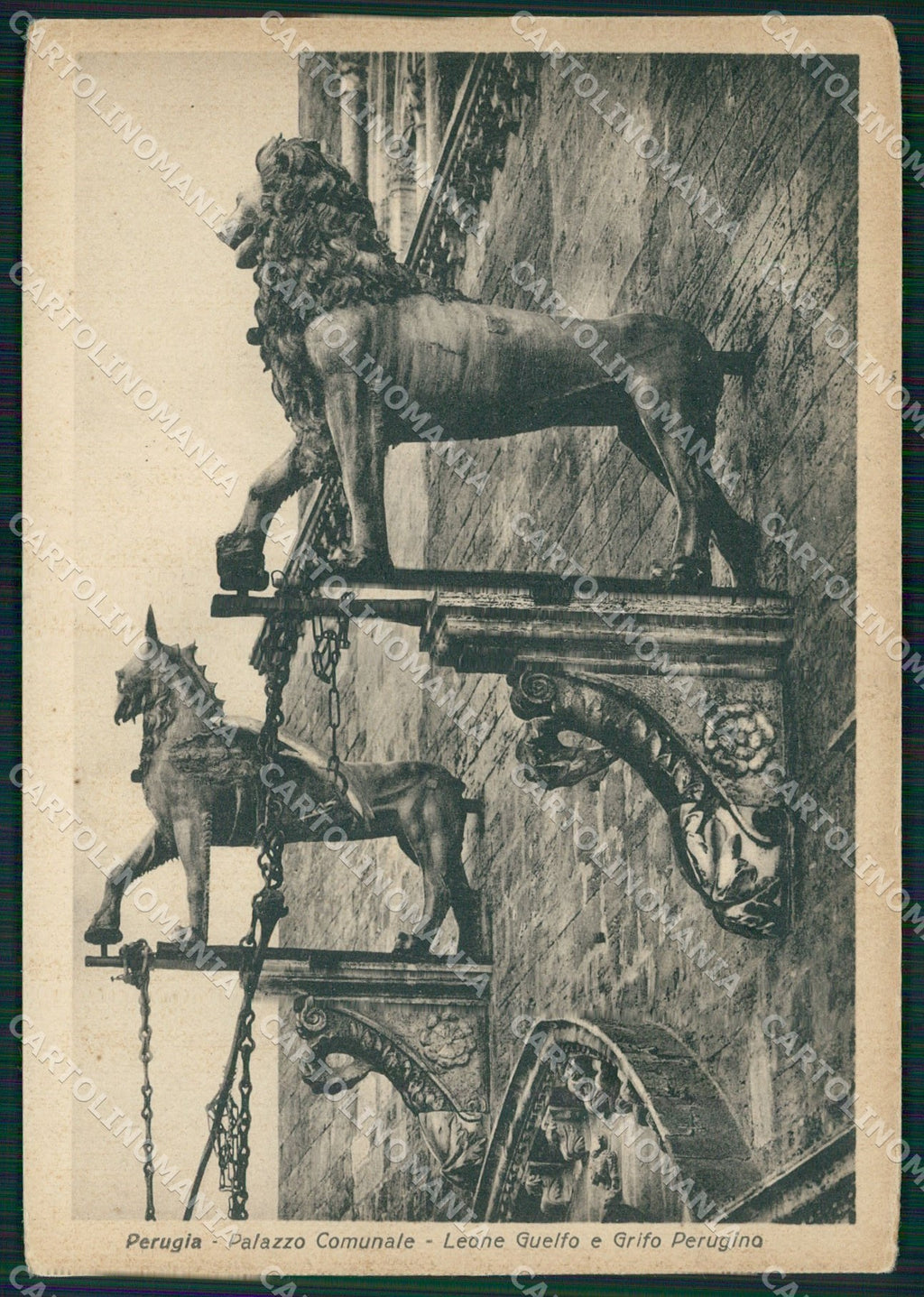 Perugia Città Comune FG cartolina KB4729 – fronte