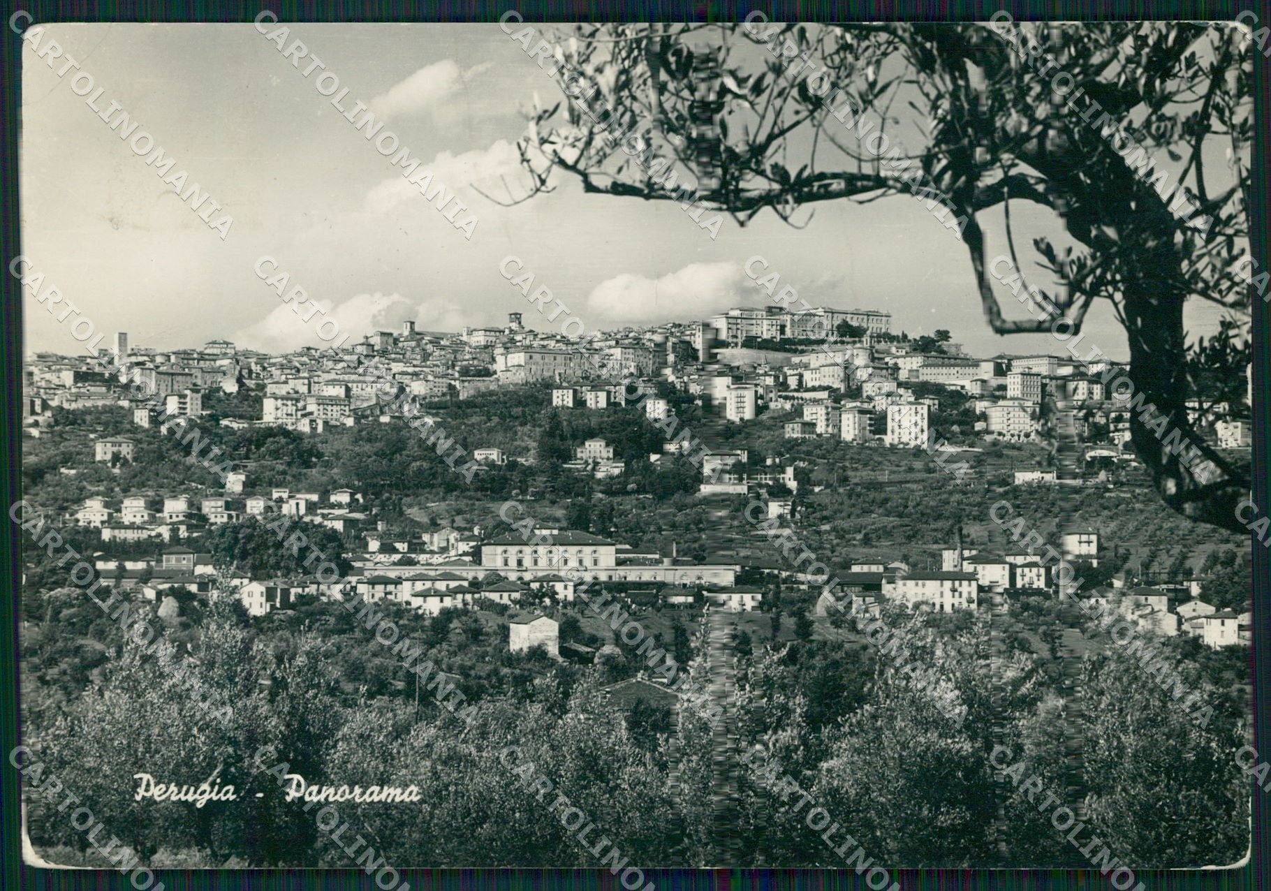 Perugia Città PIEGATA FG Foto cartolina KB4766 – fronte
