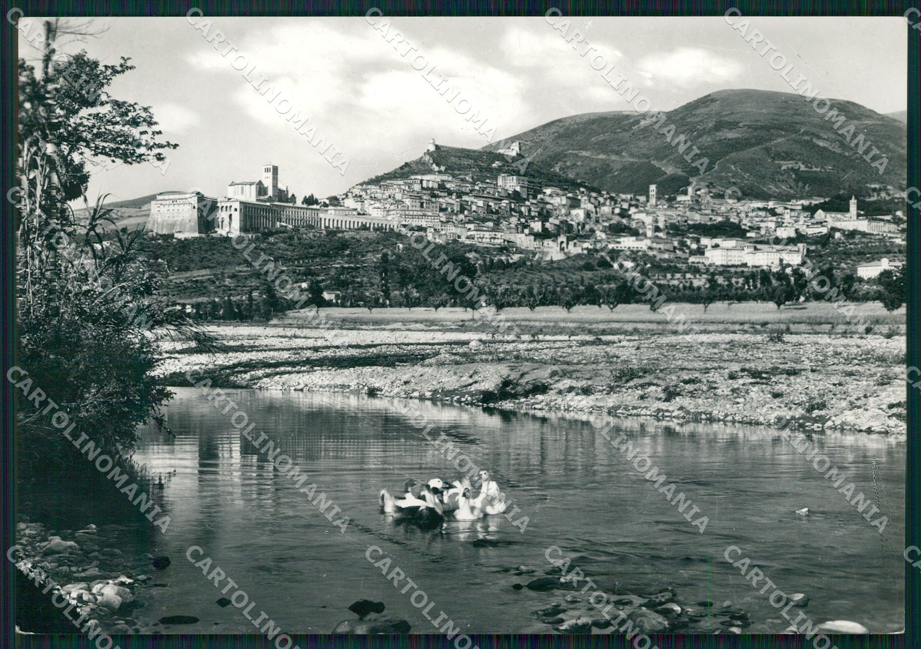 Perugia Assisi Anatre FG Foto cartolina KB4782 – fronte