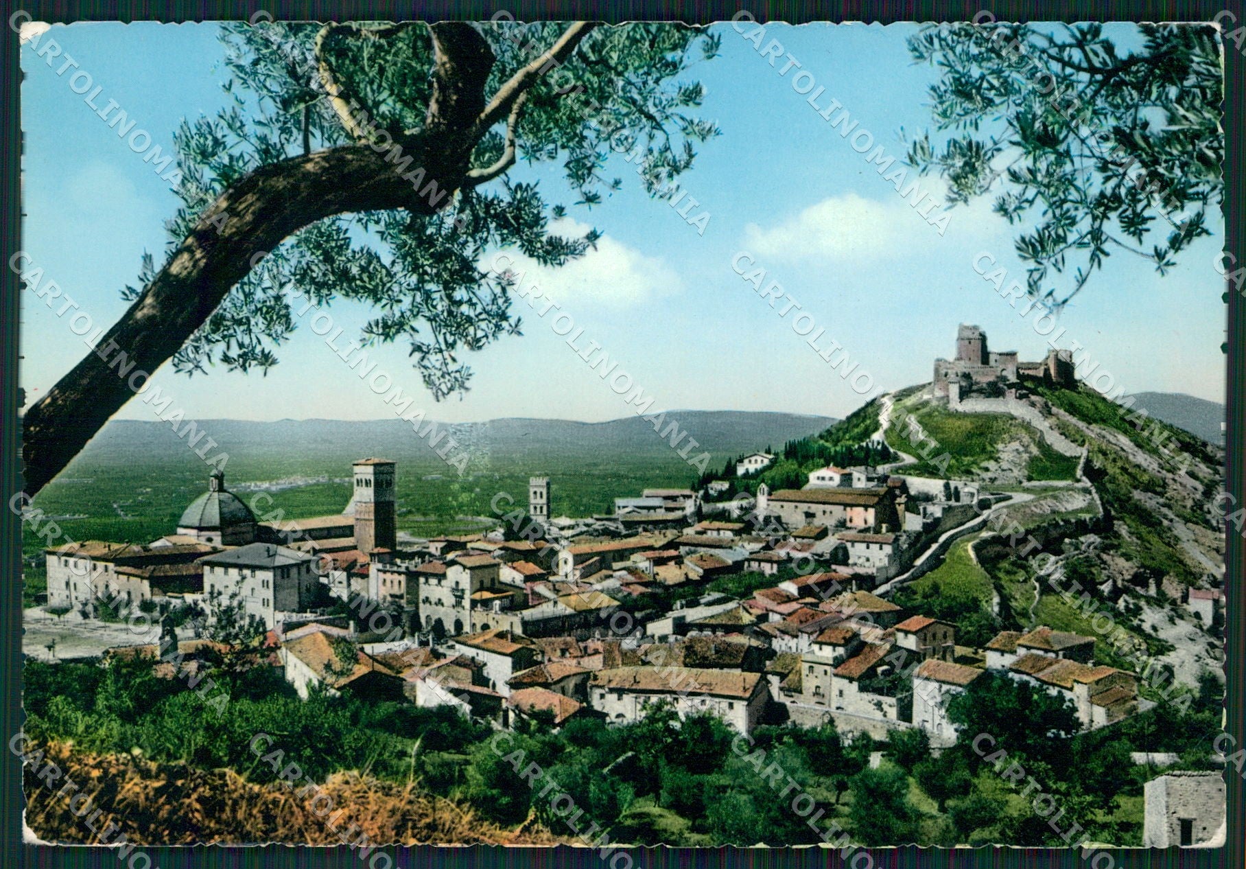 Perugia Assisi Monte Subasio FG Foto cartolina KB4783 – fronte