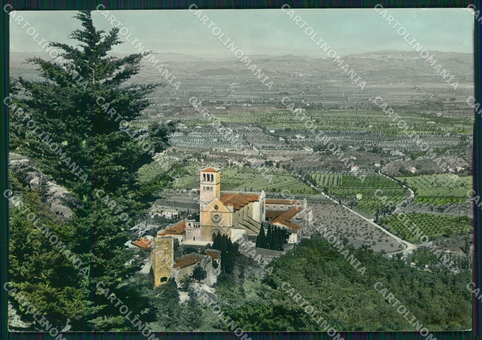 Perugia Assisi Basilica San Francesco FG Foto cartolina KB4819 – fronte