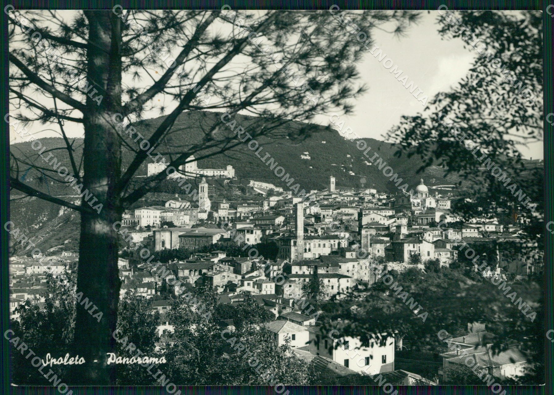 Perugia Spoleto FG Foto cartolina KB4839 – fronte