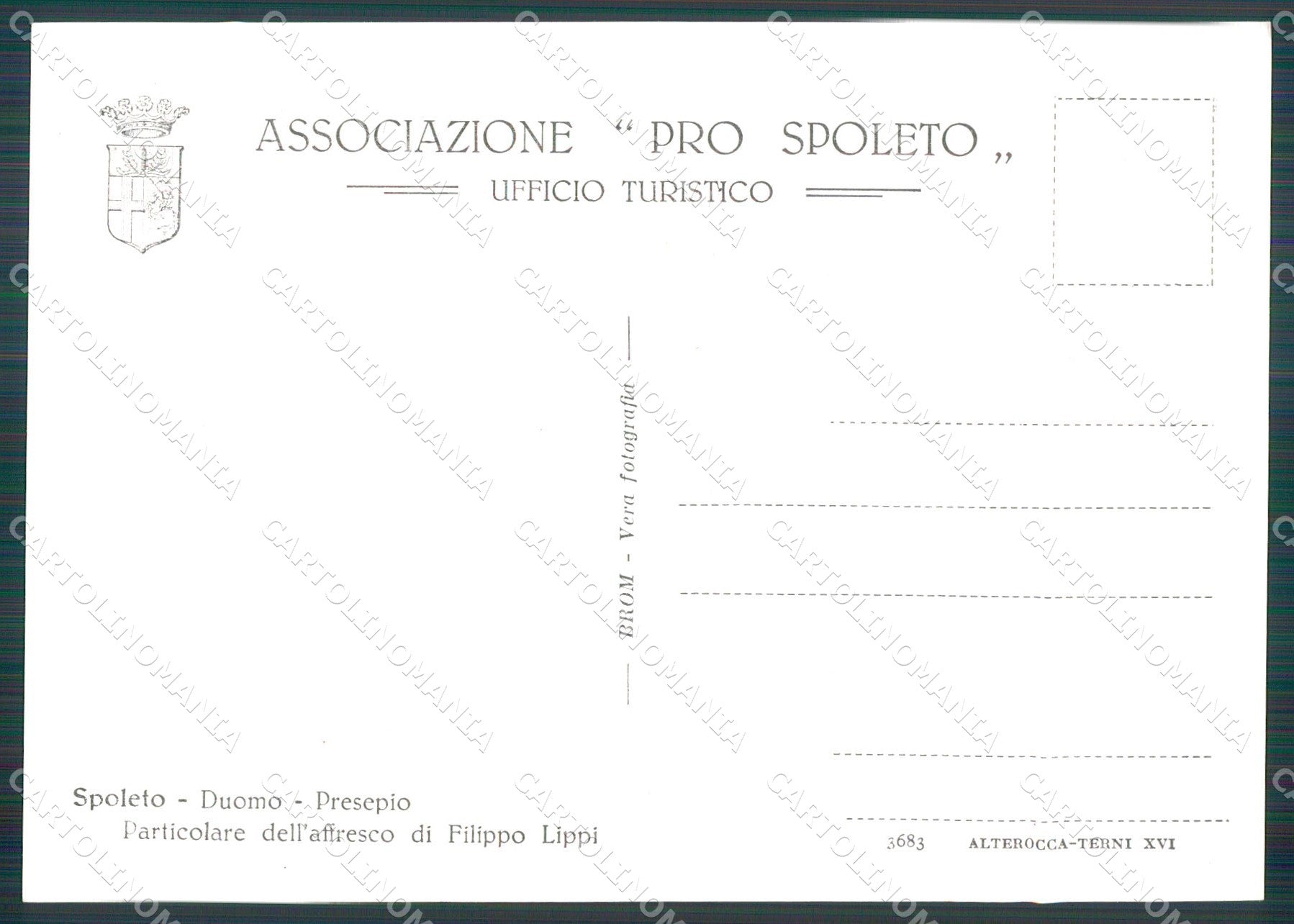 Perugia Spoleto Duomo Presepio FG Foto cartolina KB4843 – retro