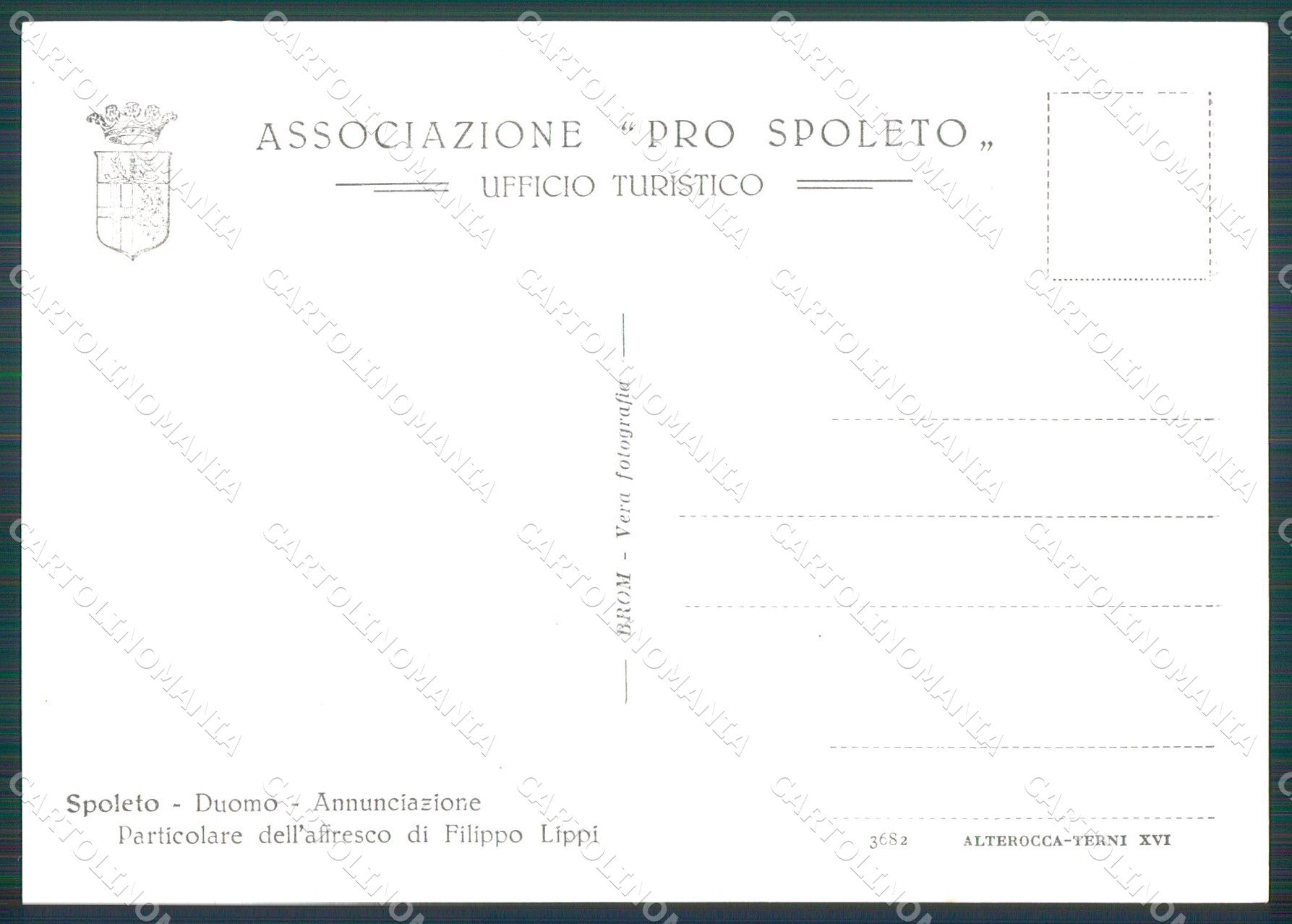 Perugia Spoleto Duomo Filippo Lippi FG Foto cartolina KB4849 – retro