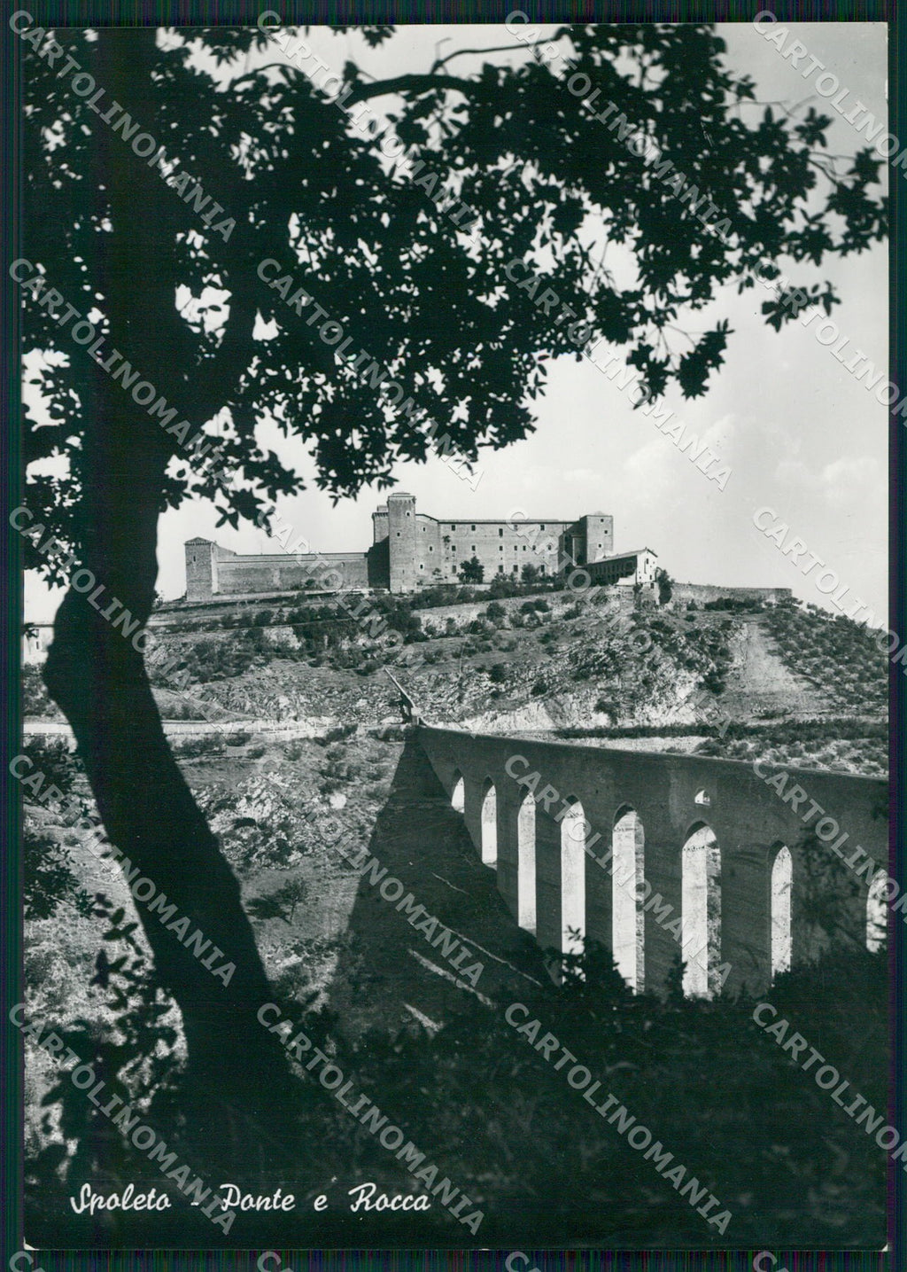 Perugia Spoleto FG Foto cartolina KB4868 – fronte