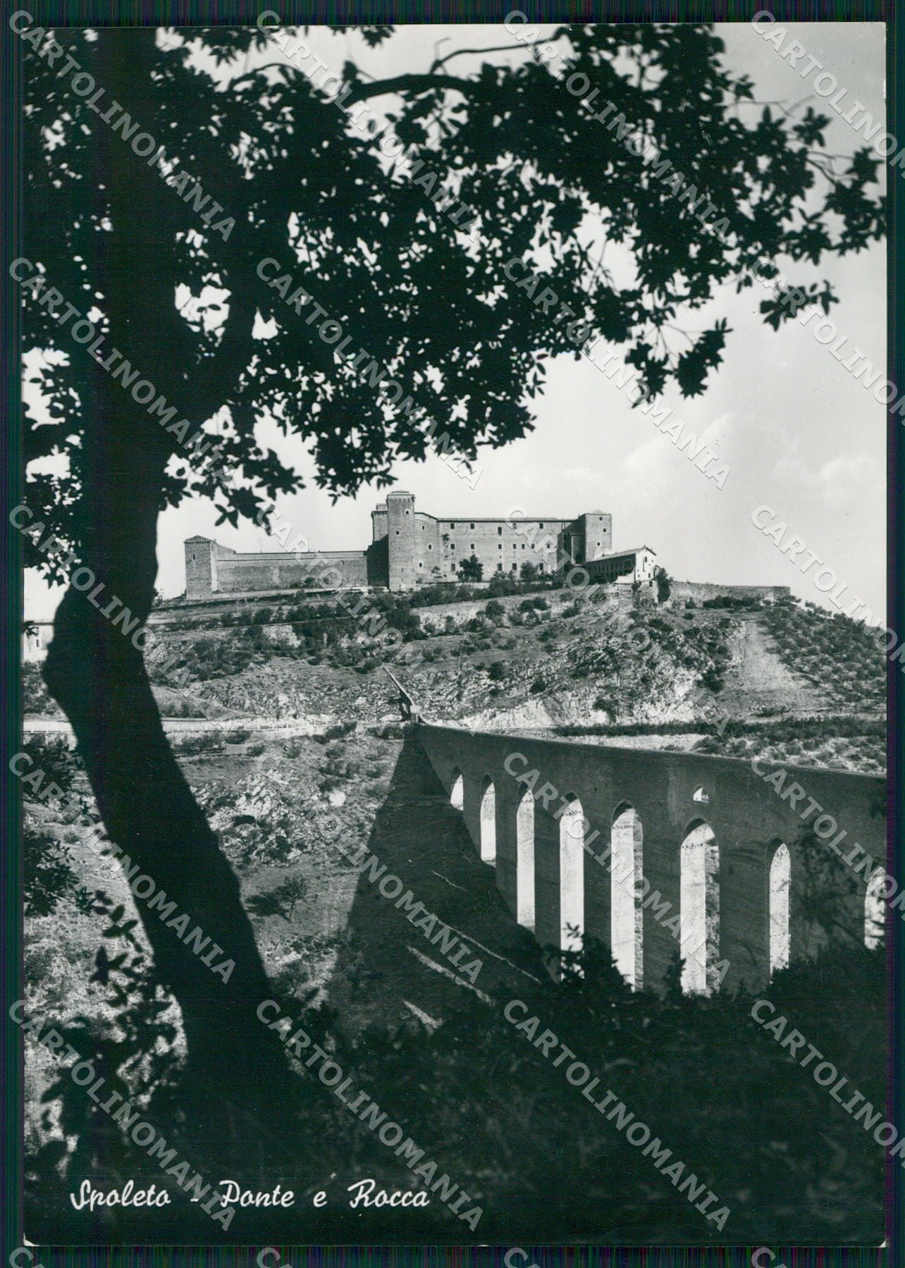 Perugia Spoleto FG Foto cartolina KB4868 – fronte