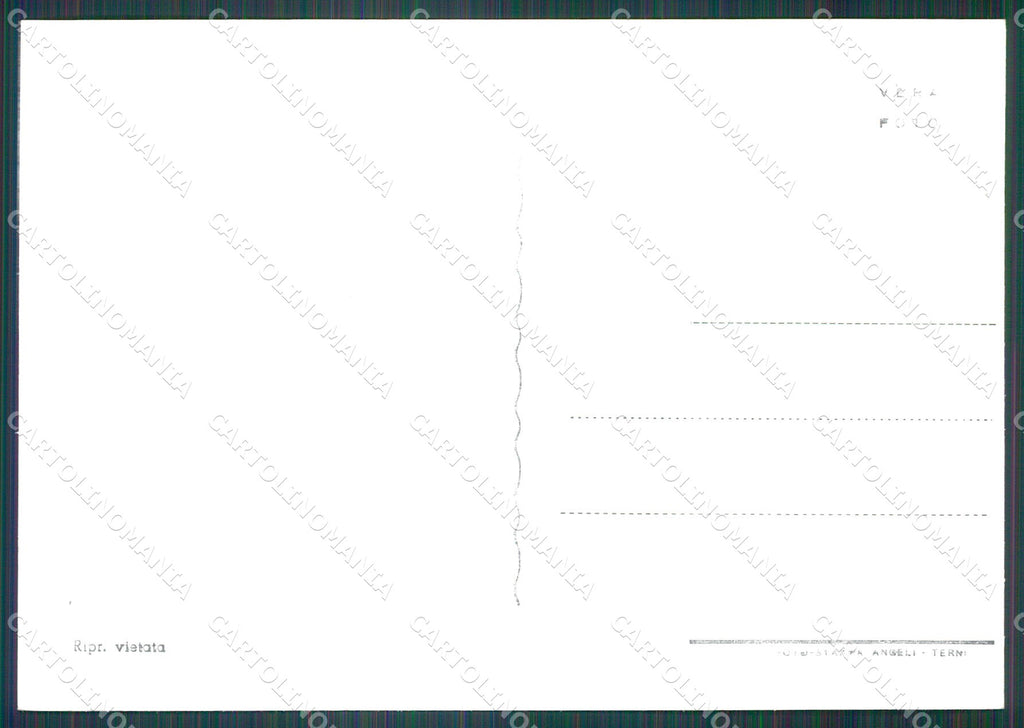 Terni Orvieto FG Foto cartolina KB4912 – retro