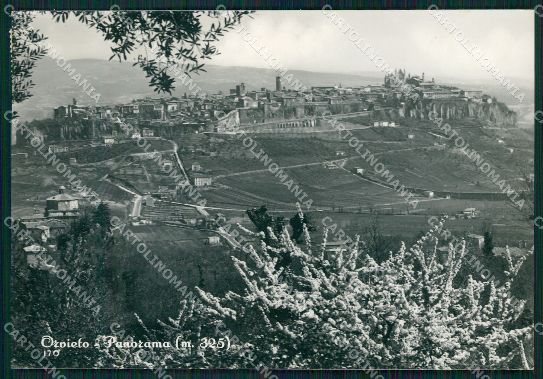 Terni Orvieto FG Foto cartolina KB4914 – fronte