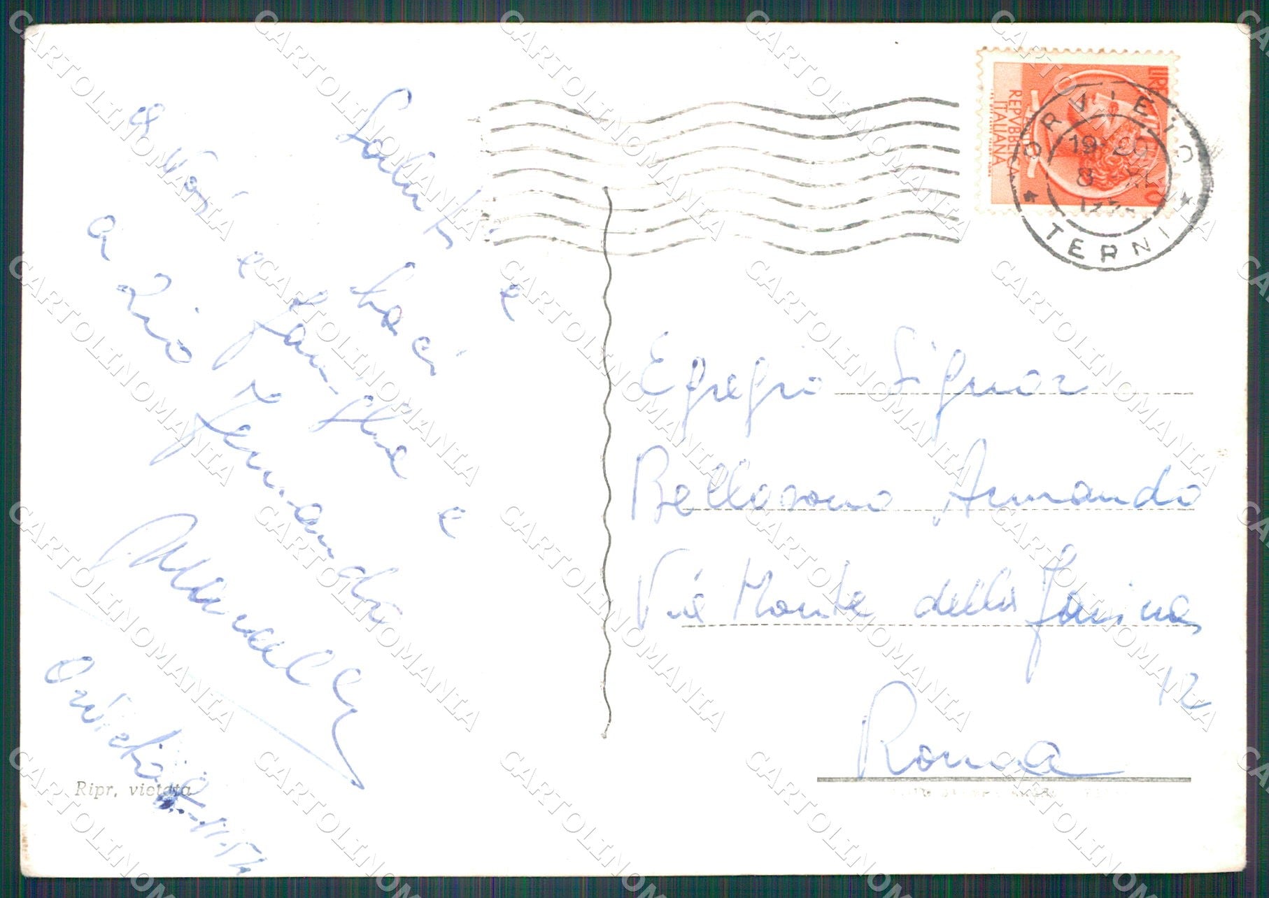 Terni Orvieto FG Foto cartolina KB4921 – retro