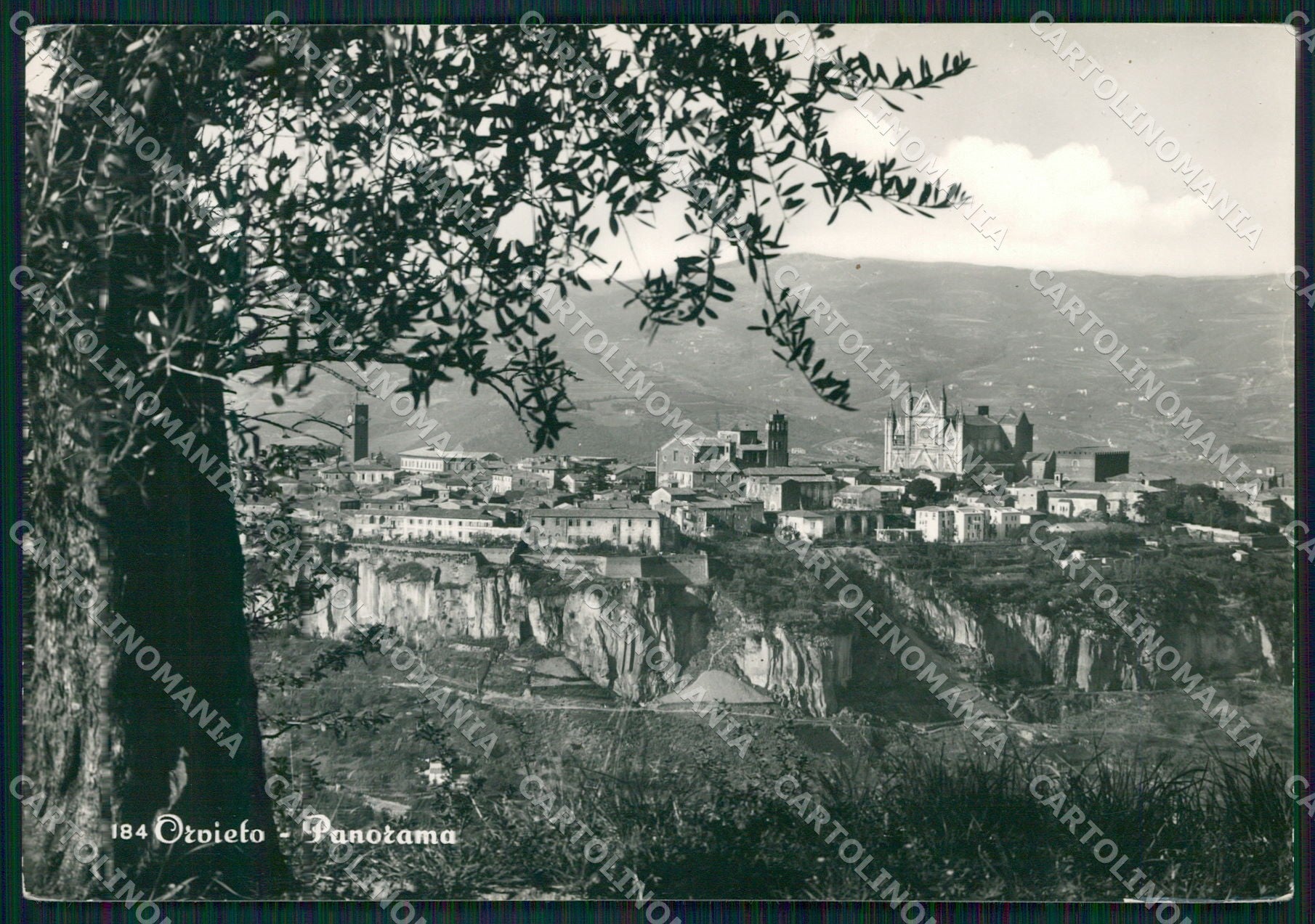 Terni Orvieto FG Foto cartolina KB4923 – fronte