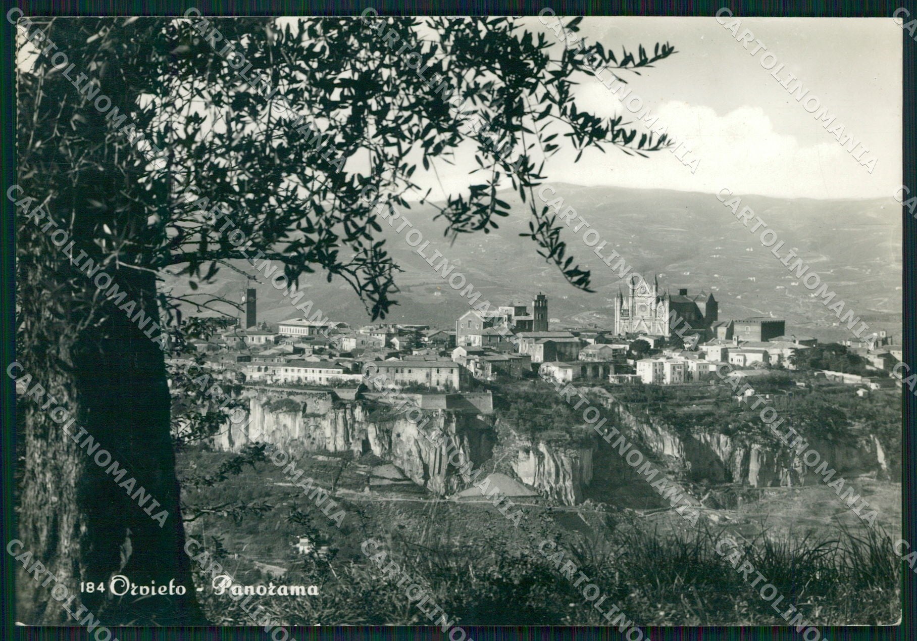 Terni Orvieto FG Foto cartolina KB4925 – fronte