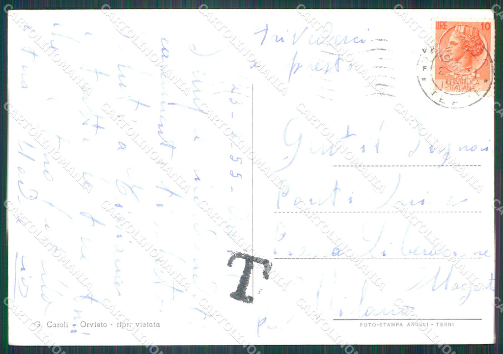 Terni Orvieto FG Foto cartolina KB4925 – retro