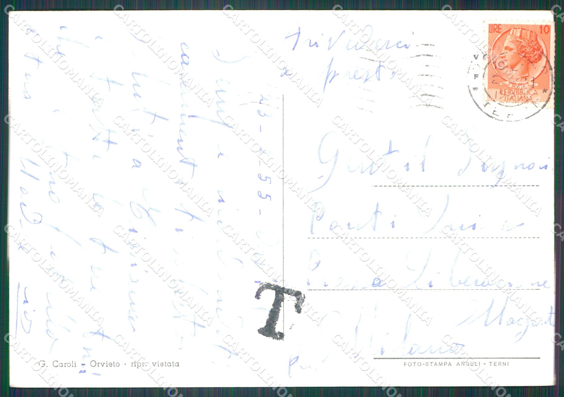 Terni Orvieto FG Foto cartolina KB4925 – retro
