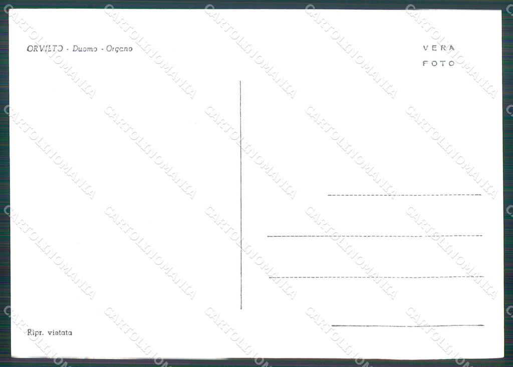 Terni Orvieto Duomo FG Foto cartolina KB4928 – retro