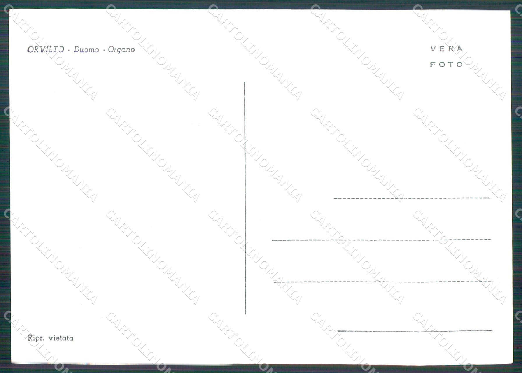 Terni Orvieto Duomo FG Foto cartolina KB4928 – retro