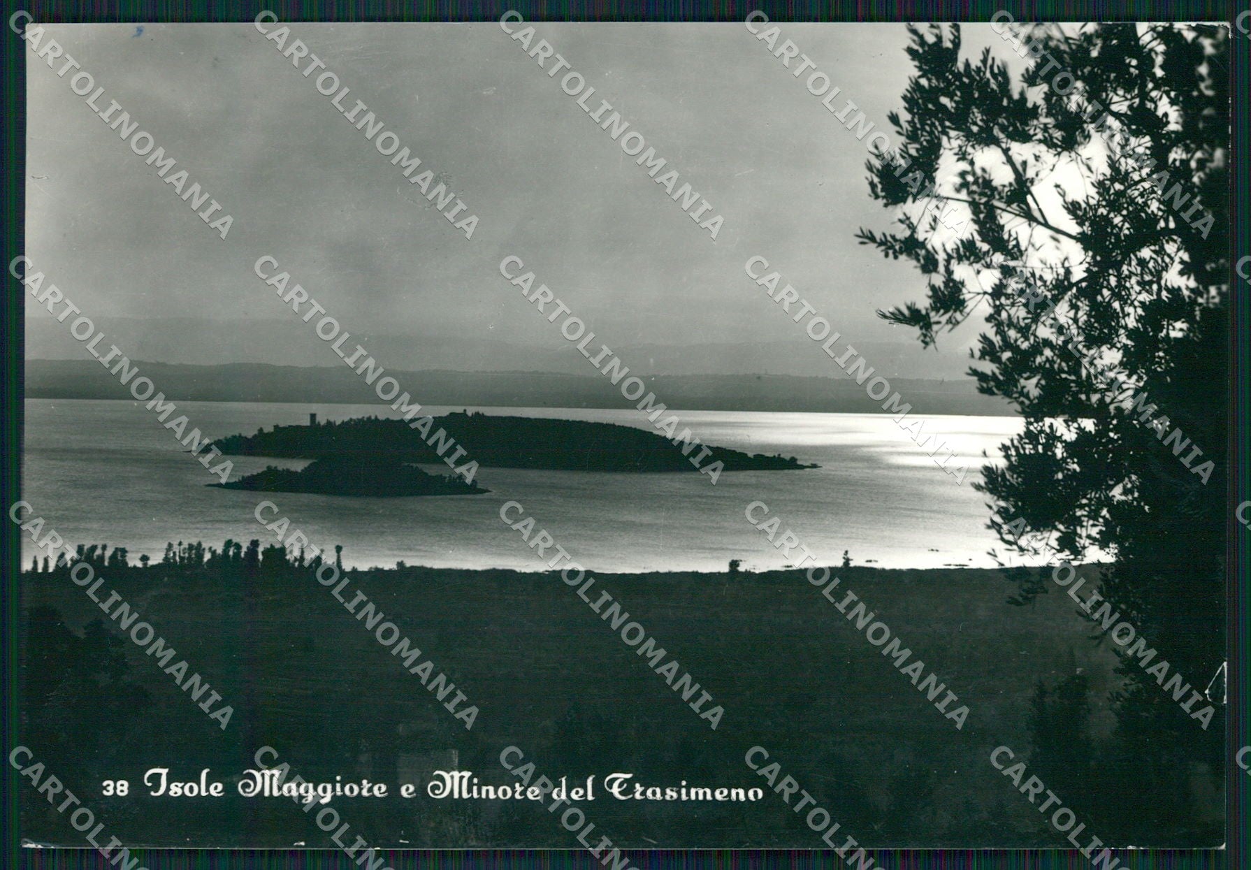 Perugia Tuoro Isola Maggiore e Minore Lago Trasimeno FG Foto cartolina KB4996 – fronte