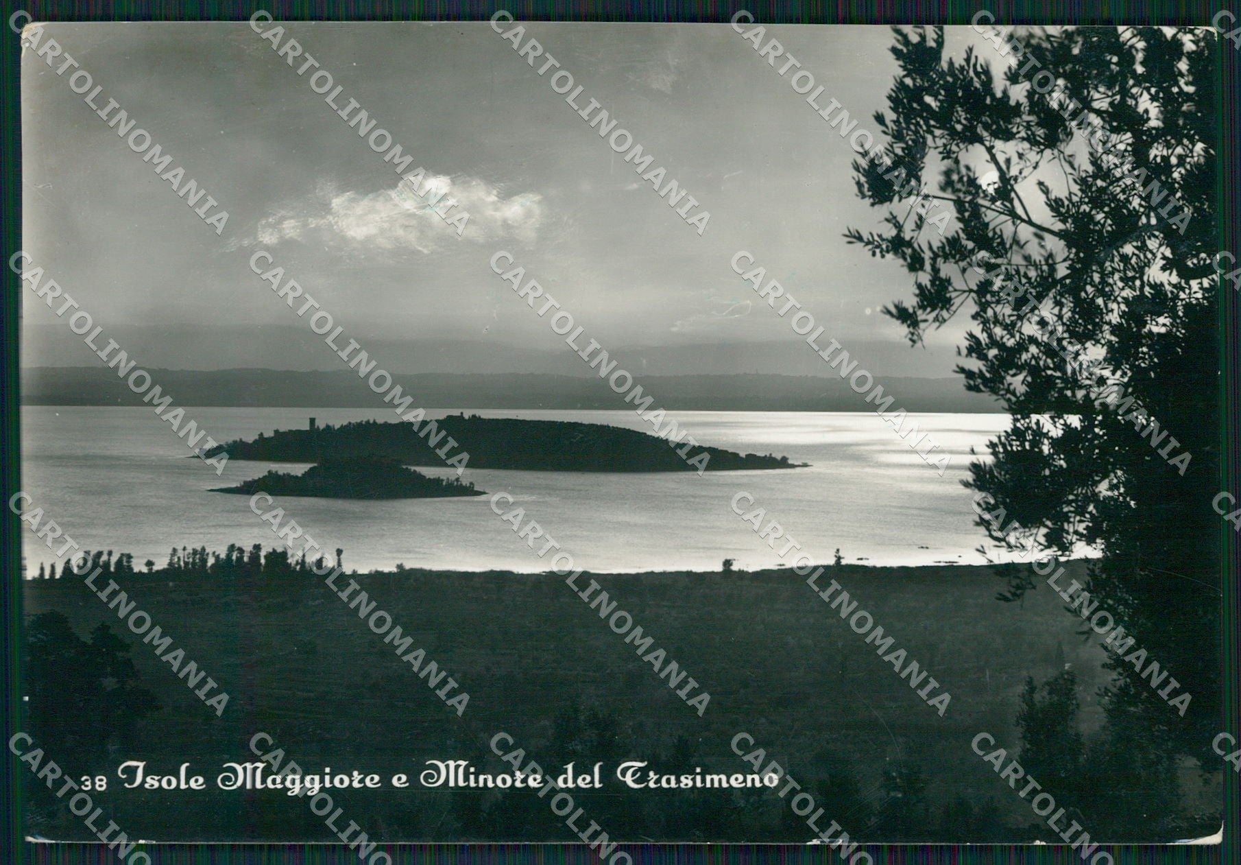 Perugia Tuoro Isola Maggiore Lago Trasimeno COLLA FG Foto cartolina KB5000 – fronte