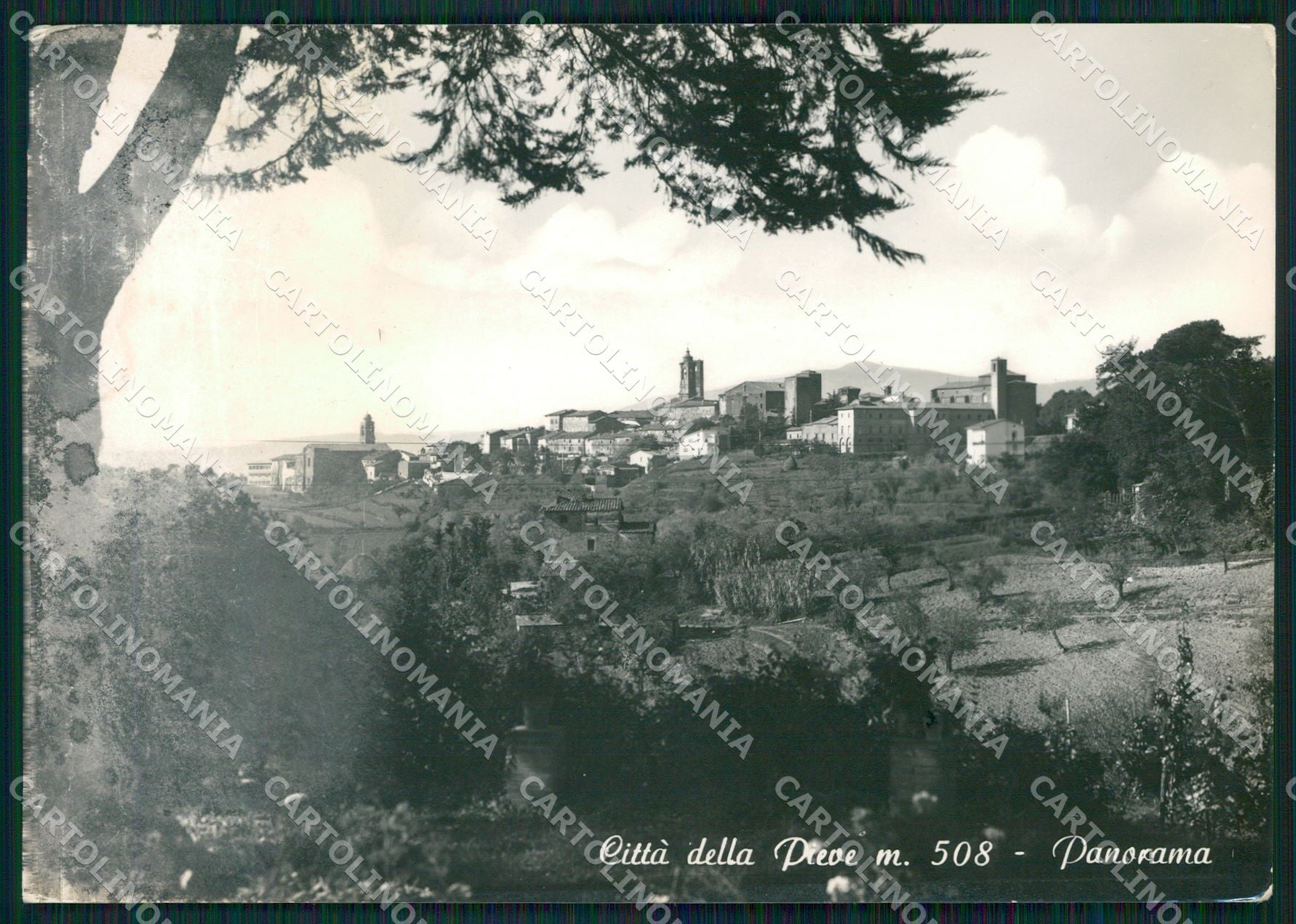 Perugia Città della Pieve ABRASA FG Foto cartolina KB5044 – fronte