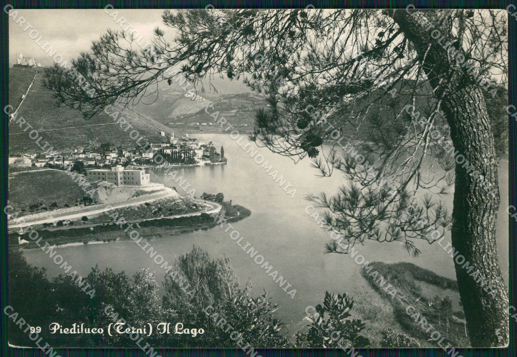 Terni Piediluco Lago di FG Foto cartolina KB5045 – fronte