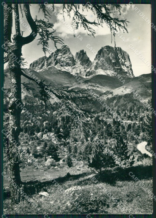Torino Novalesa Cervino FG Foto cartolina KB5061 – fronte