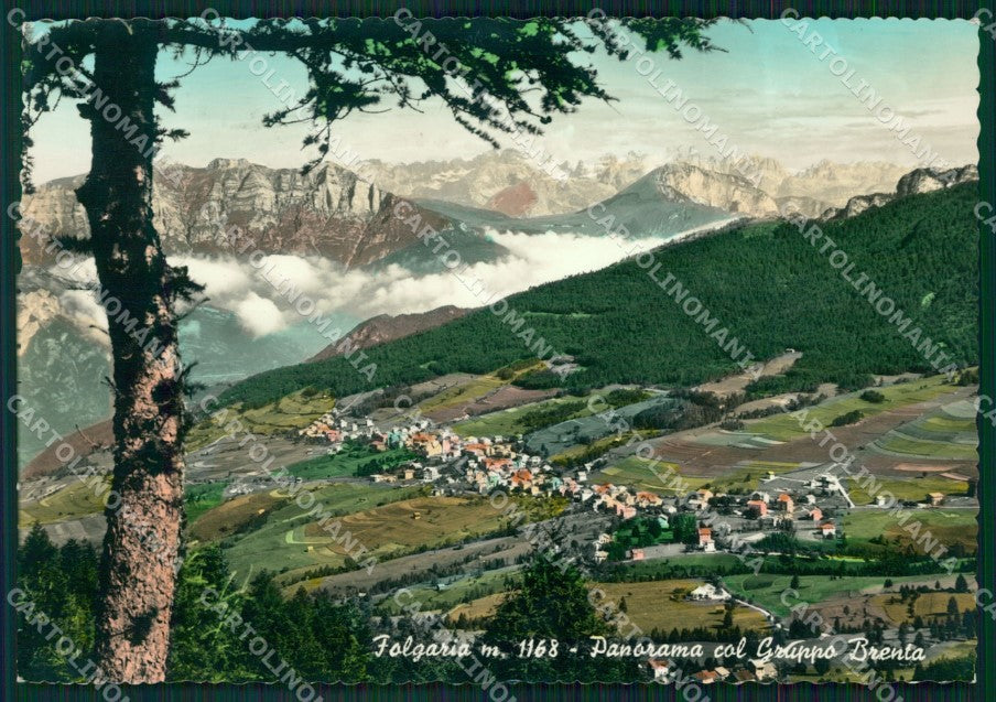 Trento Folgaria Gruppo Brenta FG Foto cartolina KB5113 – fronte