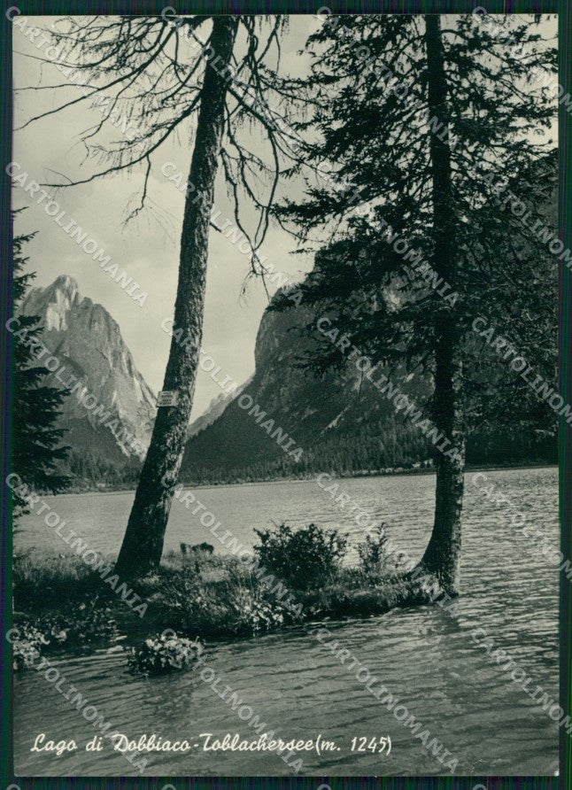 Bolzano Dobbiaco Lago di FG Foto cartolina KB5120 – fronte