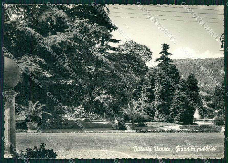 Treviso Vittorio Veneto FG Foto cartolina KB5197 – fronte