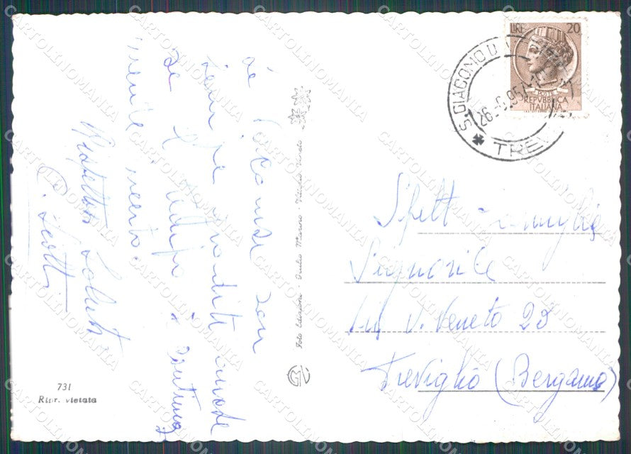 Treviso Vittorio Veneto FG Foto cartolina KB5197 – retro