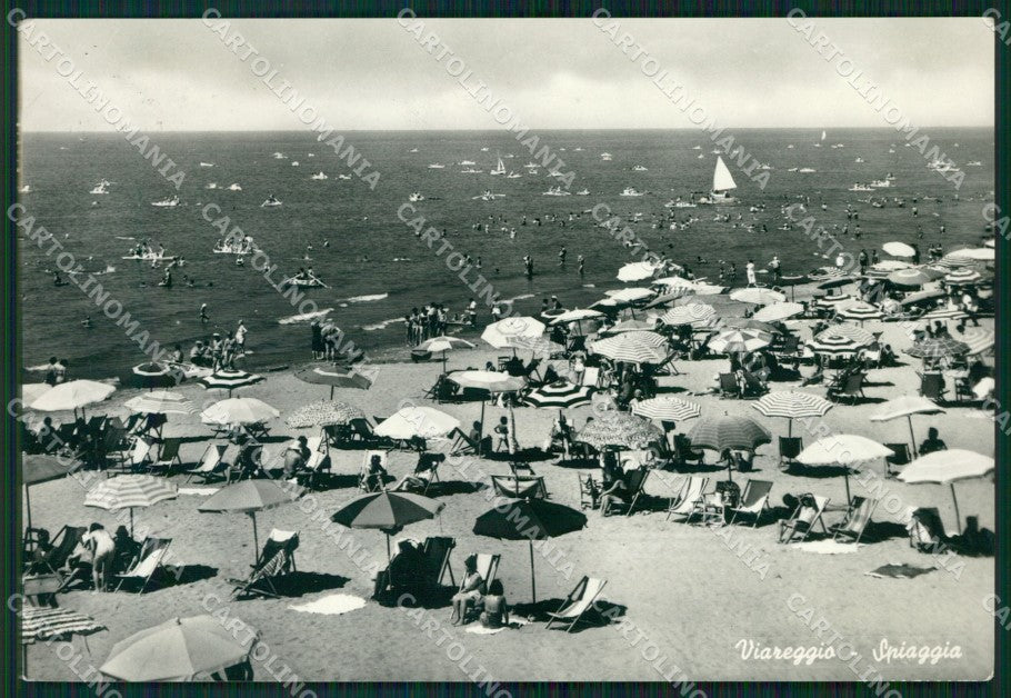 Lucca Viareggio FG Foto cartolina KB5261 – fronte