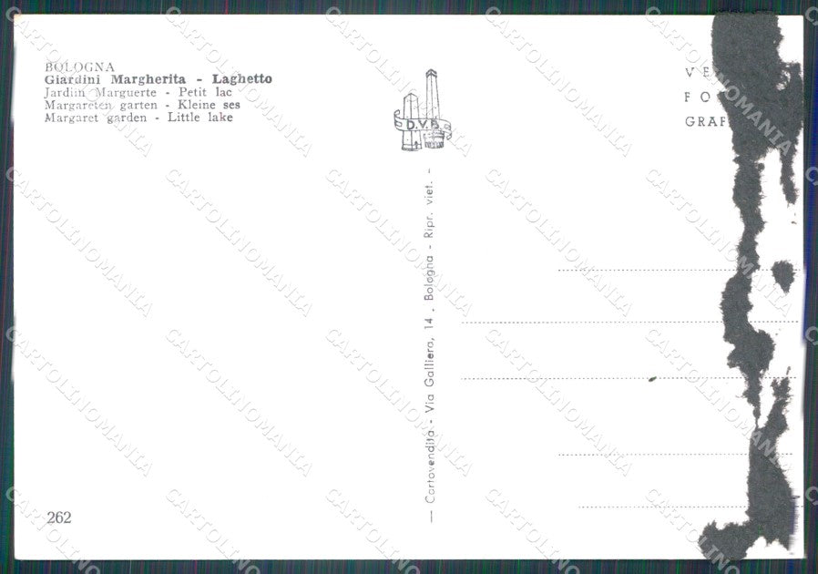 Bologna Città Giardini Margherita COLLA FG Foto cartolina KB5302 – retro