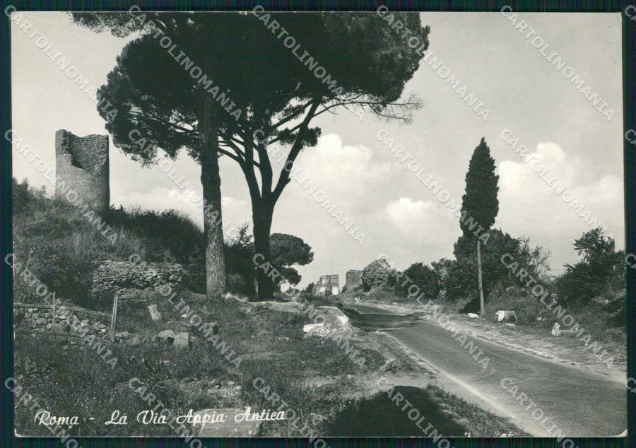 Roma Città Via Appia Antica FG Foto cartolina KB5313 – fronte