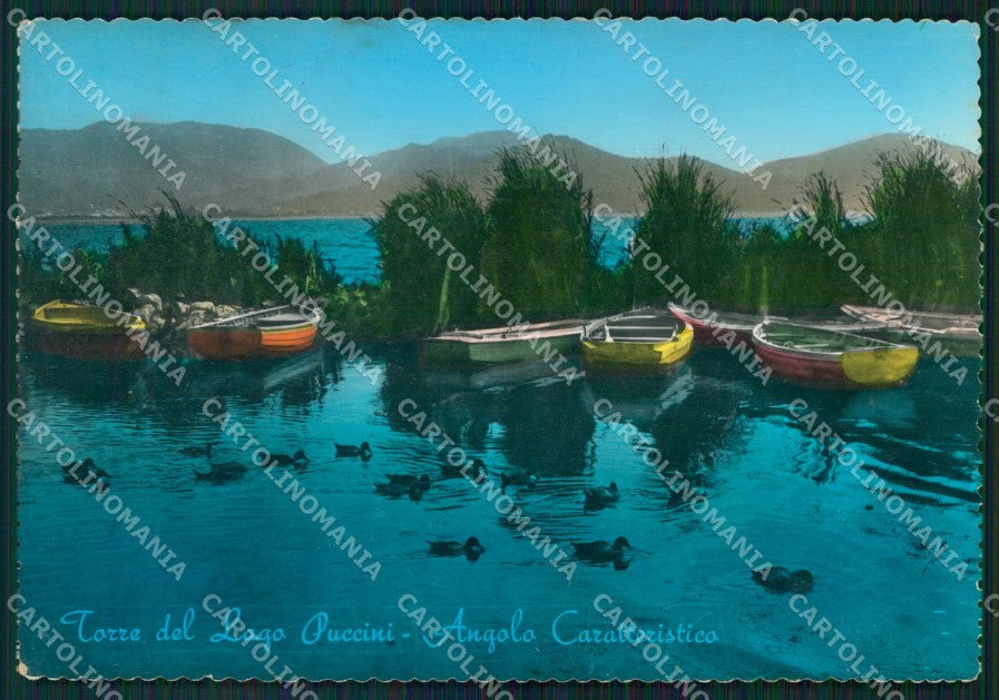 Lucca Viareggio Torre del Lago Barche PIEGHINA FG Foto cartolina KB5321 – fronte