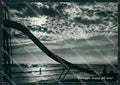 Lucca Viareggio FG Foto cartolina KB5332 – fronte