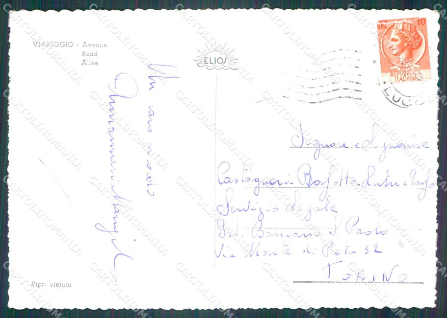 Lucca Viareggio FG Foto cartolina KB5333 – retro
