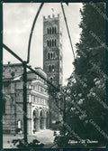 Lucca Città Duomo FG Foto cartolina KB5346 – fronte