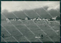 Lucca Viareggio FG Foto cartolina KB5377 – fronte
