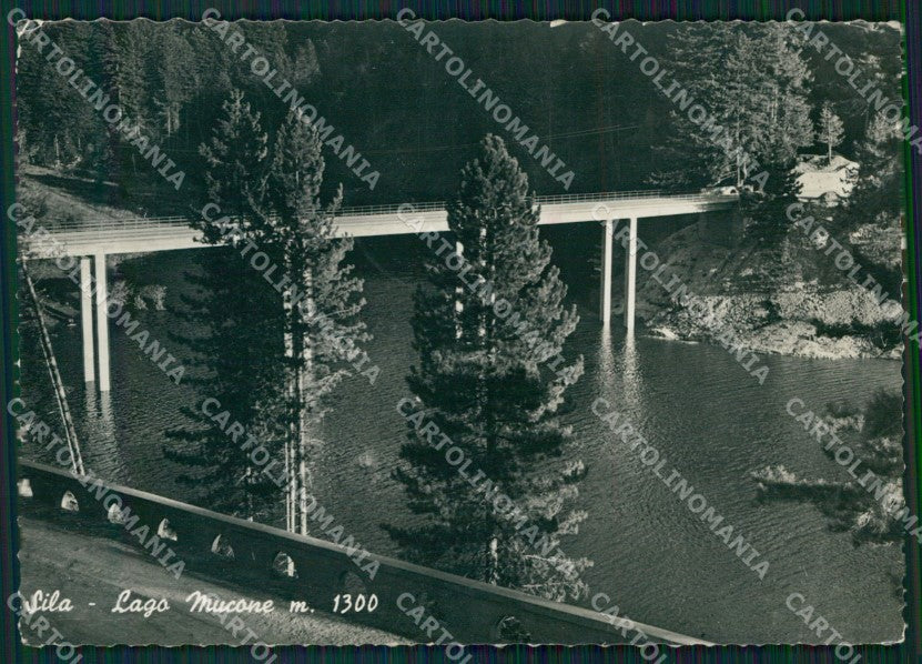 Cosenza Spezzano dell Sila Lago Mucone FG Foto cartolina KB5383 – fronte