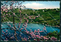 Novara Lago d'Orta FG Foto cartolina KB5400 – fronte