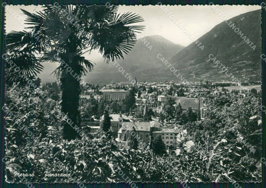 Bolzano Merano FG Foto cartolina KB5425 – fronte