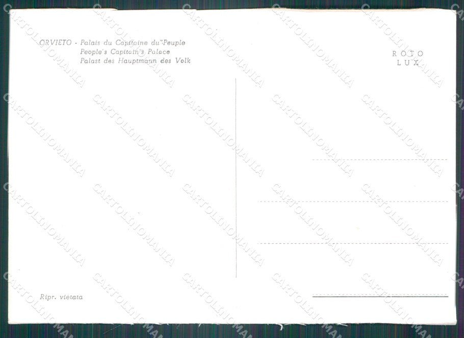 Terni Orvieto Palazzo del Capitano FG Foto cartolina KB5491 – retro