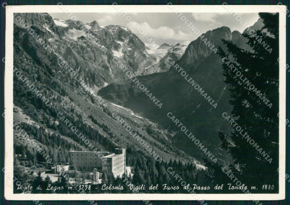 Brescia Ponte di Legno Passo Tonale Colonia FG Foto cartolina KB5508 – fronte