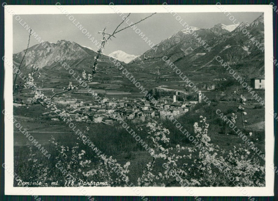 Cuneo Demonte FG Foto cartolina KB5516 – fronte