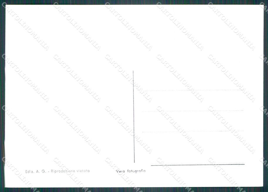 Cuneo Demonte Mucche FG Foto cartolina KB5518 – retro