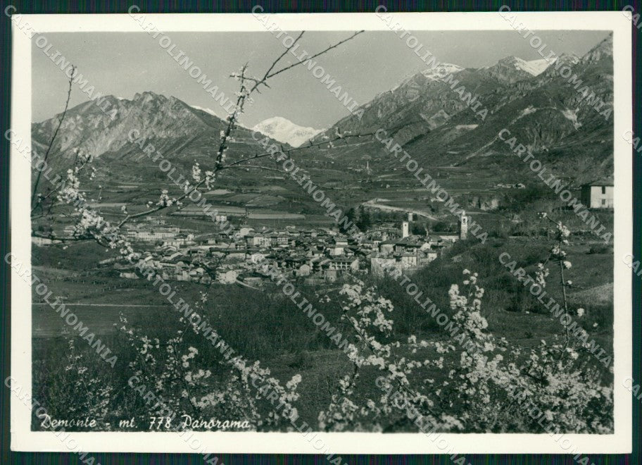 Cuneo Demonte FG Foto cartolina KB5519 – fronte