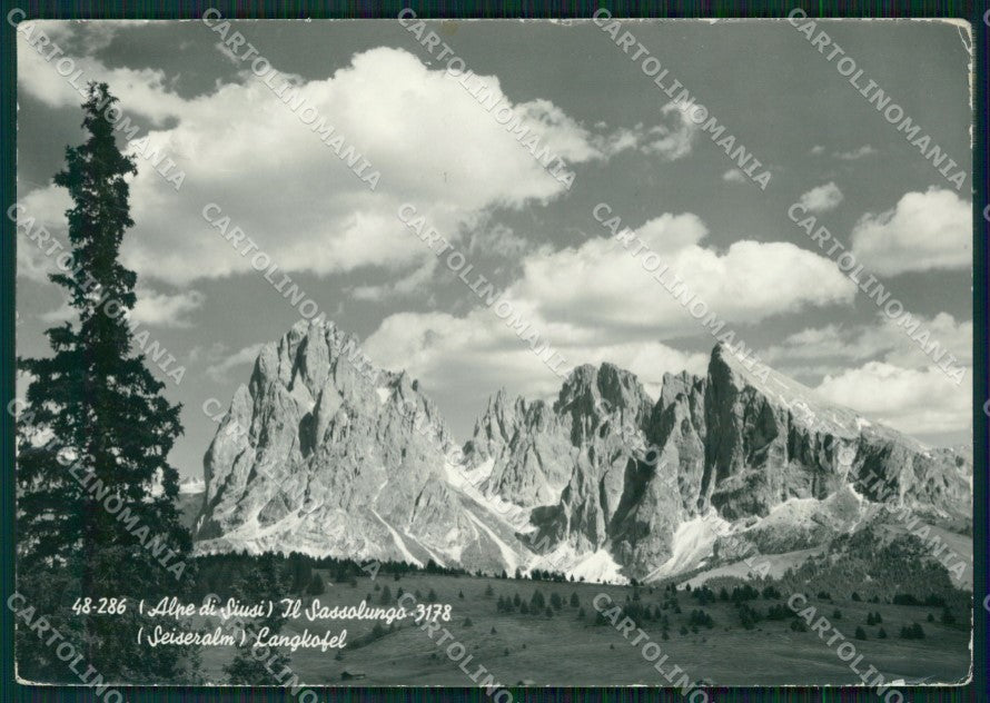 Bolzano Castelrotto Alpe di Siusi Sassolungo PIEGHE FG Foto cartolina KB5532 – fronte