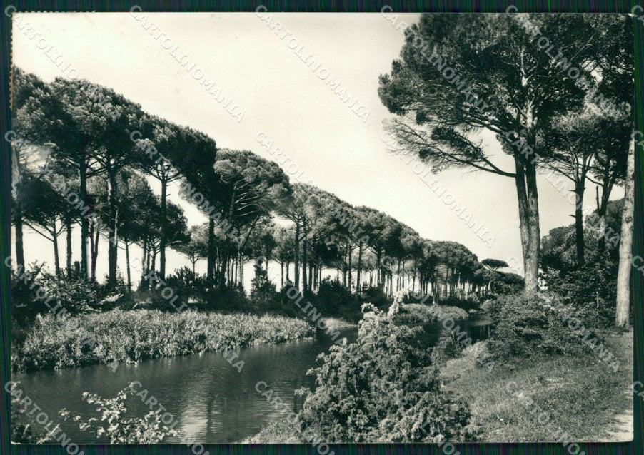 Ravenna Città FG Foto cartolina KB5548 – fronte